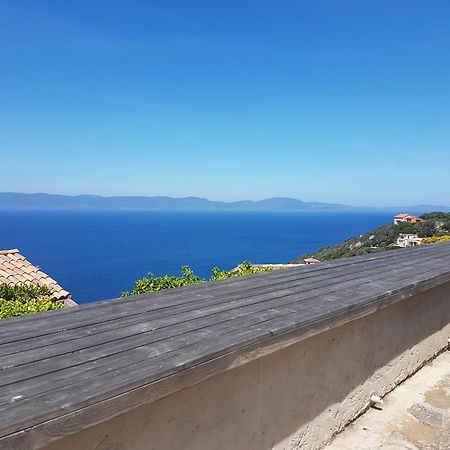 Studio Climatise Ile Naturiste Du Levant Hyeres Bagian luar foto